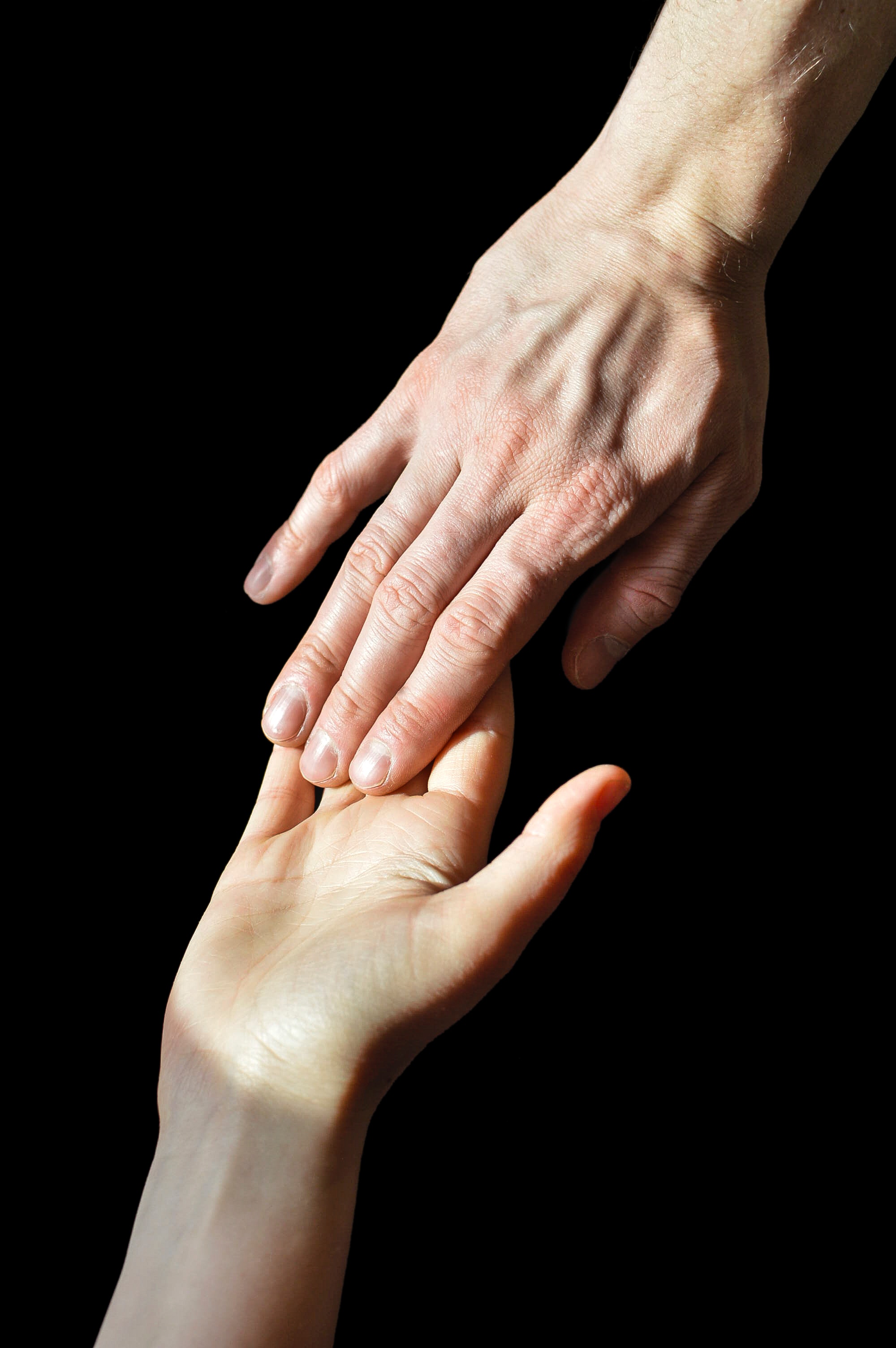 piotr-wilk-390032-unsplash